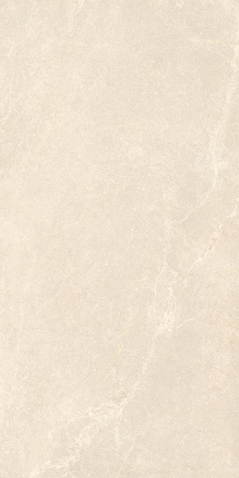 NOBLE STONE BEIGE PORCELAIN TILE 24X48