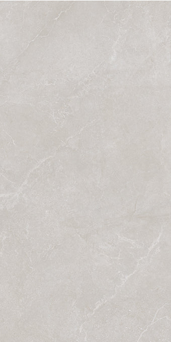 NOBLE STONE GREY PORCELAIN TILE 24X48