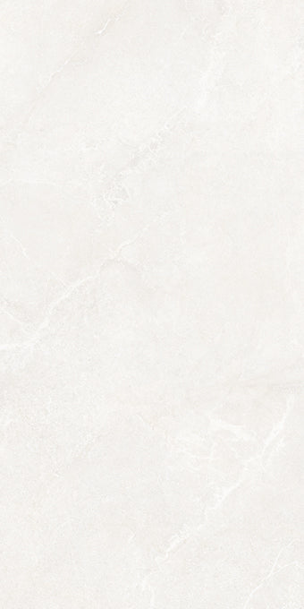 NOBLE STONE WHITE PORCELAIN TILE 24X48