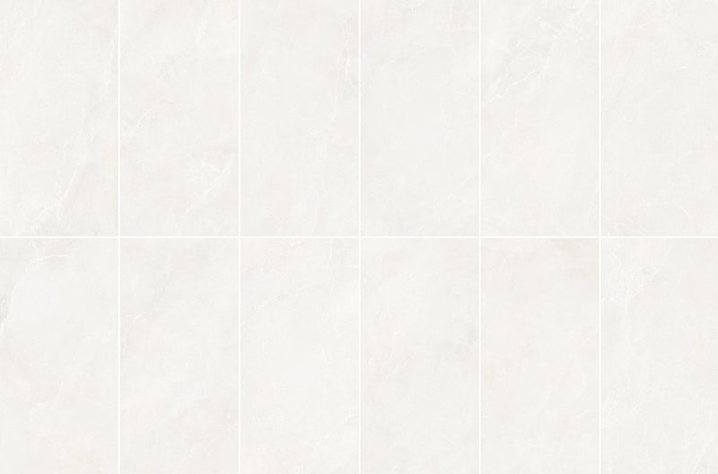 NOBLE STONE WHITE PORCELAIN TILE 24X48