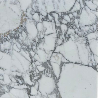 Arabescato 24x24 Premium Italian Marble Tile (Honed)