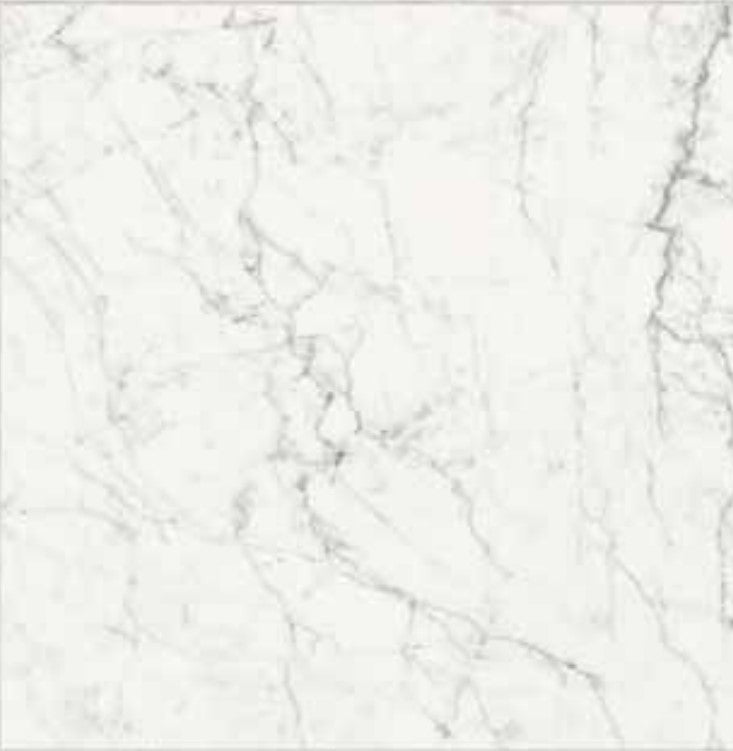 CARRARA GHOST PORCELAIN TILE 12X24 POLISHED