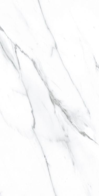 AGL Carrara Polished 12 x 24 Porcelain Tile