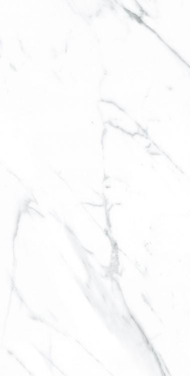 AGL Carrara Polished 12 x 24 Porcelain Tile