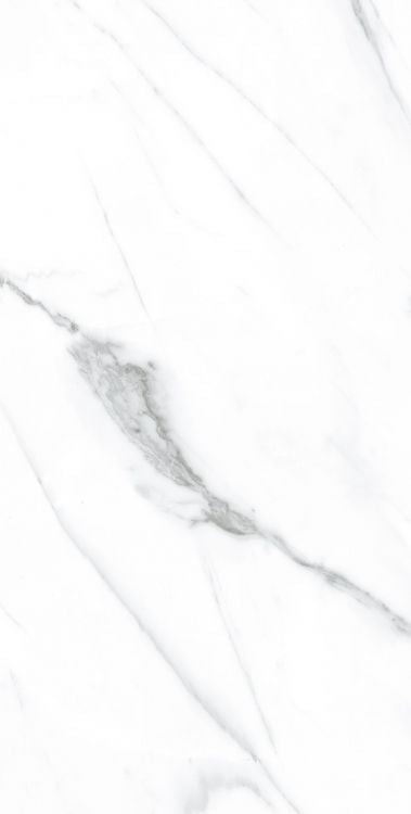 AGL Carrara Polished 12 x 24 Porcelain Tile