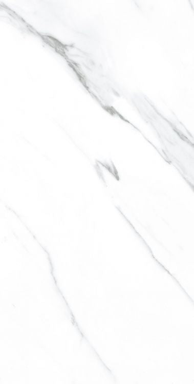 AGL Carrara Polished 12 x 24 Porcelain Tile