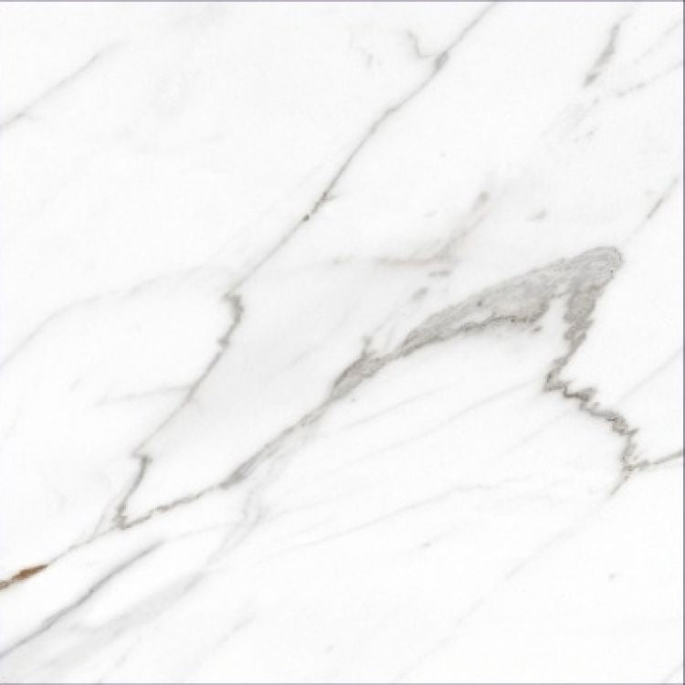 AGL Carrara Polished 24 x 24