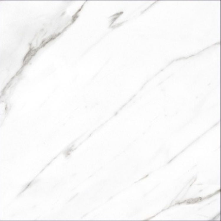 AGL Carrara Polished 24 x 24