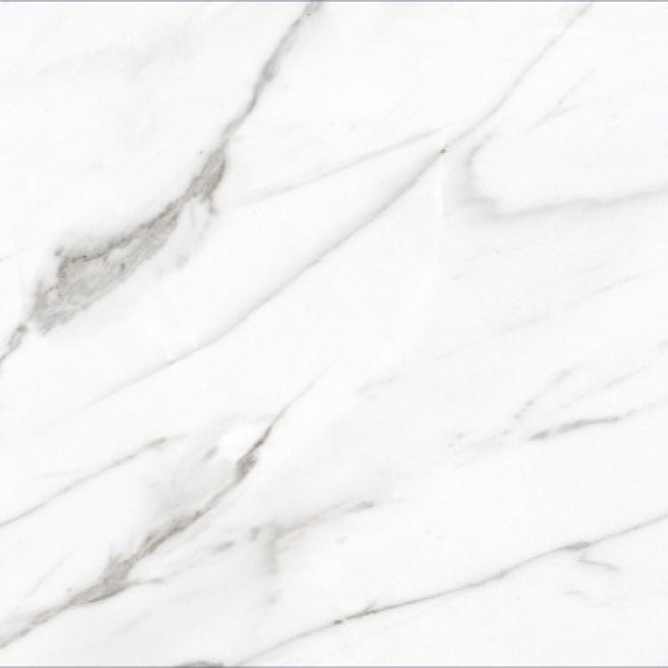 AGL Carrara Polished 24 x 24