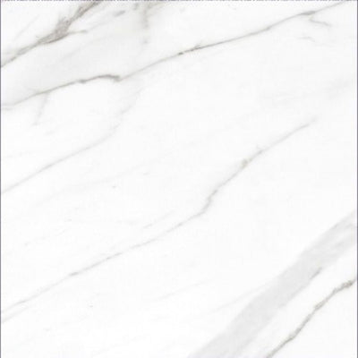 AGL Carrara Polished 24 x 24