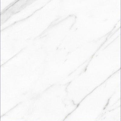 AGL Carrara Polished 24 x 24