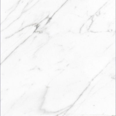 AGL Carrara Polished 24 x 24