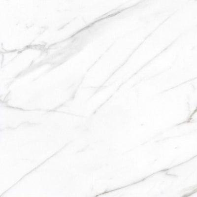 AGL Carrara Polished 24 x 24