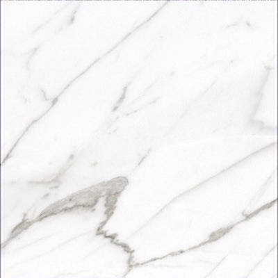 AGL Carrara Polished 24 x 24