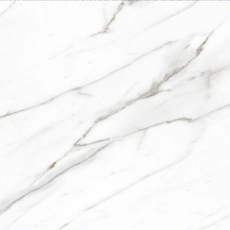 AGL Carrara Polished 24 x 24