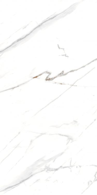 AGL Carrara Polished 24 x 48