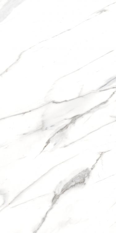 AGL Carrara Polished 24 x 48