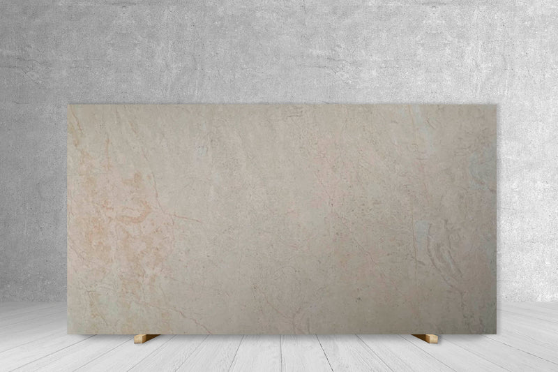 LIMESTONE COQUILLAGE LIMESTONE POLISHED SLAB 3/4 106 x 62