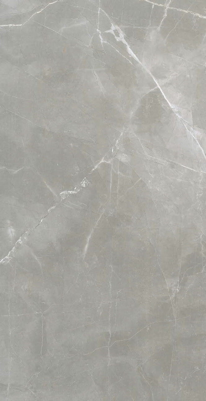 TIMELESS AMANI GREY PORCELAIN TILE 12X24