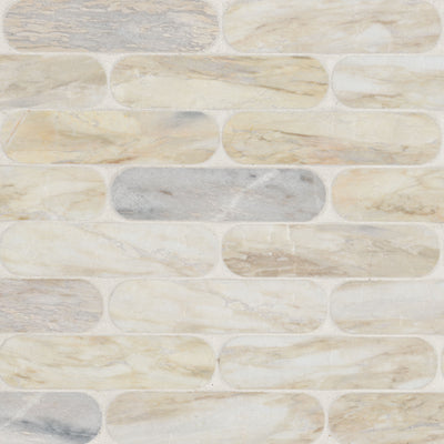 Agoura Marble Ellipse Polished Mosaic