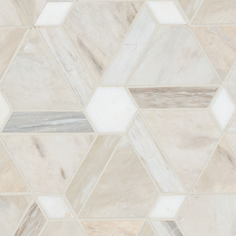 Agoura Marble Floralis Polished Mosaic