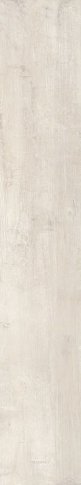 Ar 10 - Bianco 8 X 48 Porcelain Tiles