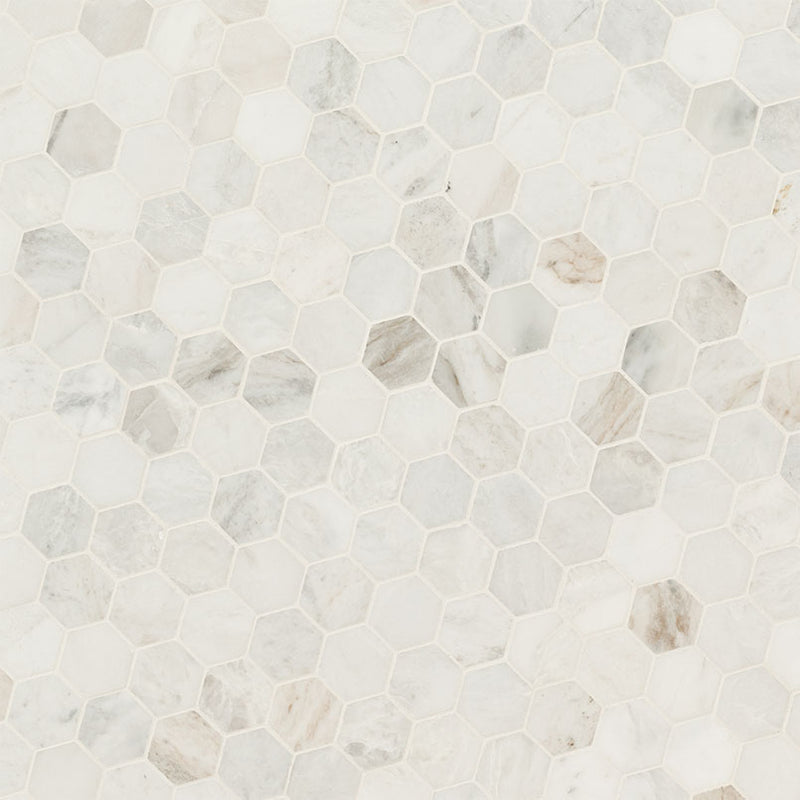 Arabescato Venato White 2" Hexagon Honed