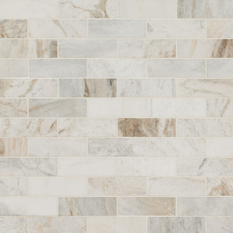 Arabescato Venato White 2x6 Honed Marble Tile