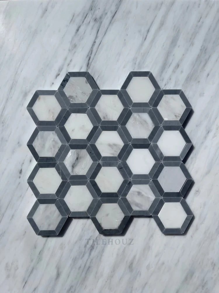 Asian Statuary Vortex Hexagon Mosaic W/Bardiglio Border Polished&Honed Marble