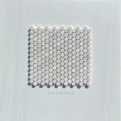 Bianco Dolomite Penny Mosaic Honed (Premium) Marble