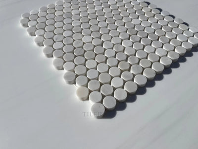 Bianco Dolomite Penny Mosaic Honed (Premium) Marble