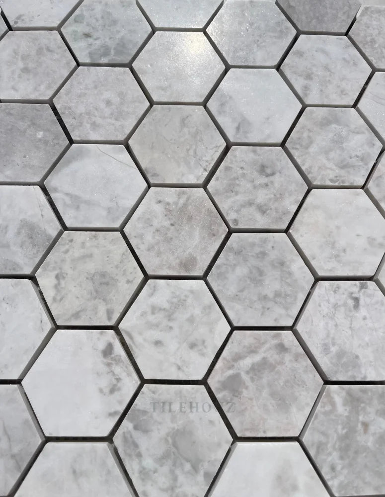 Bianco Gris Dolomite 2 Hexagon Leathered Mosaic Marble