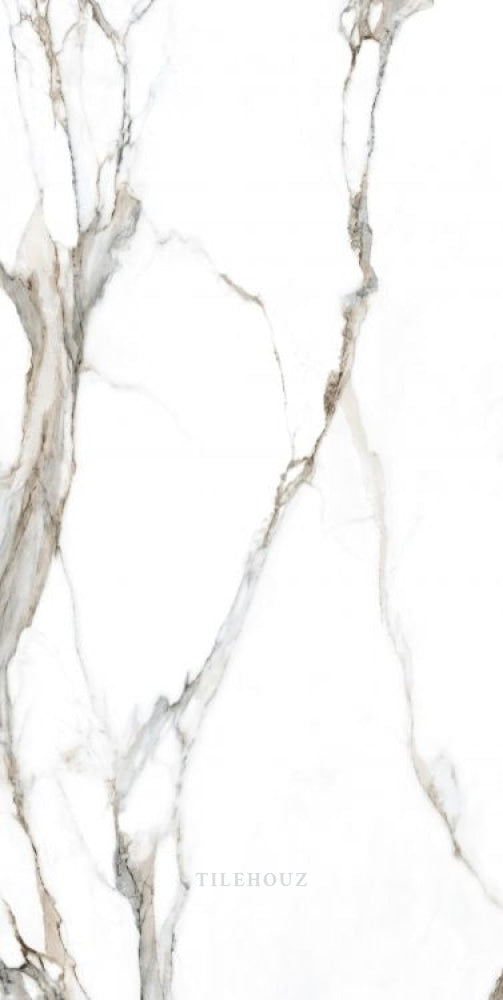 Calacatta Fantasy Topo Polished 24 X 48 Porcelain Tiles