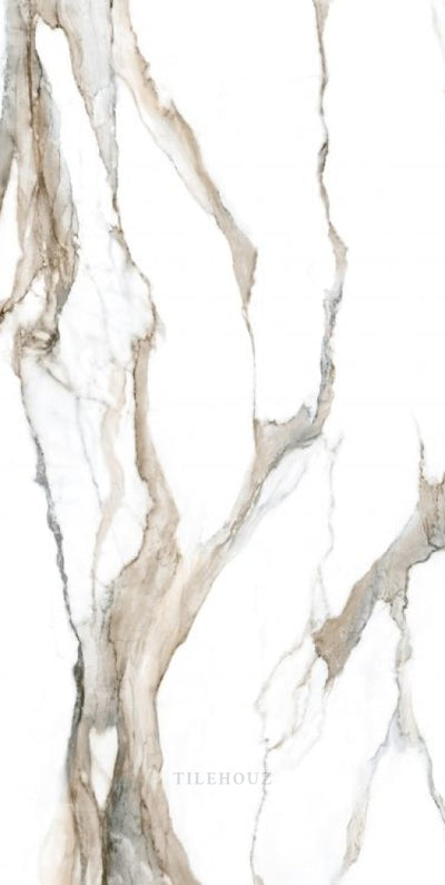 Calacatta Fantasy Topo Polished 24 X 48 Porcelain Tiles