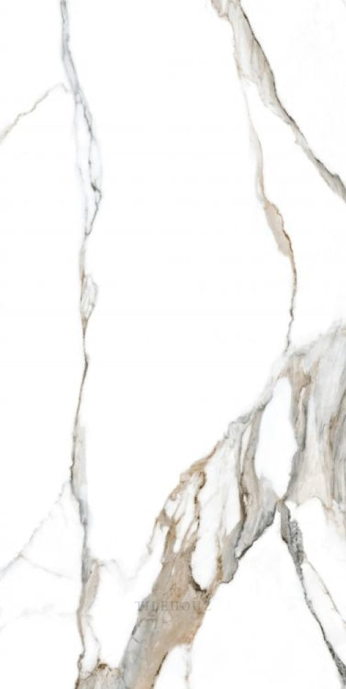 Calacatta Fantasy Topo Polished 24 X 48 Porcelain Tiles