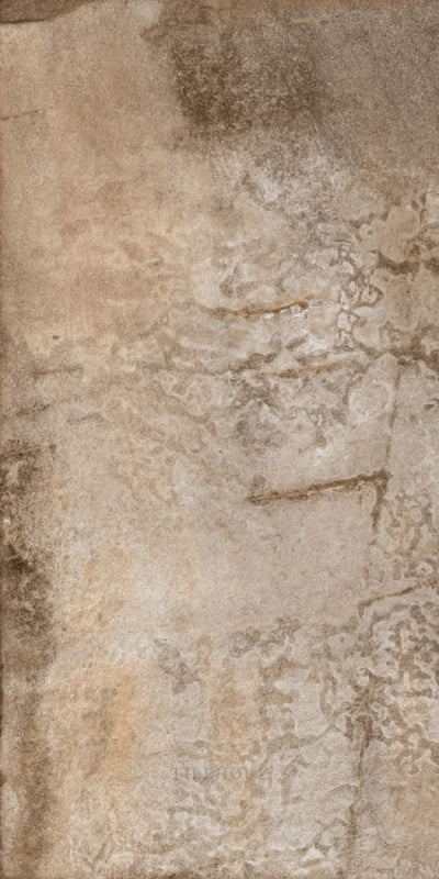 Hcl Climb 9 - Noce 16 X 32 Porcelain Tiles