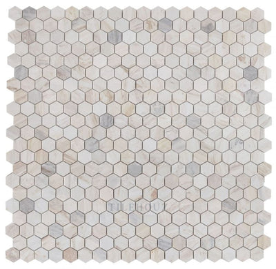 Hexagon 2 X Eurasian Marble Mosaic 11.75 12