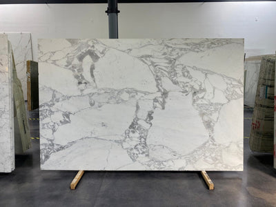 MARBLE CALACATTA CARRARA HONED SLAB 3/4 120 x 77