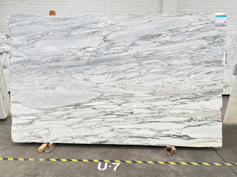 MARBLE CALACATTA APUANO HONED SLAB 3/4 125 x 78