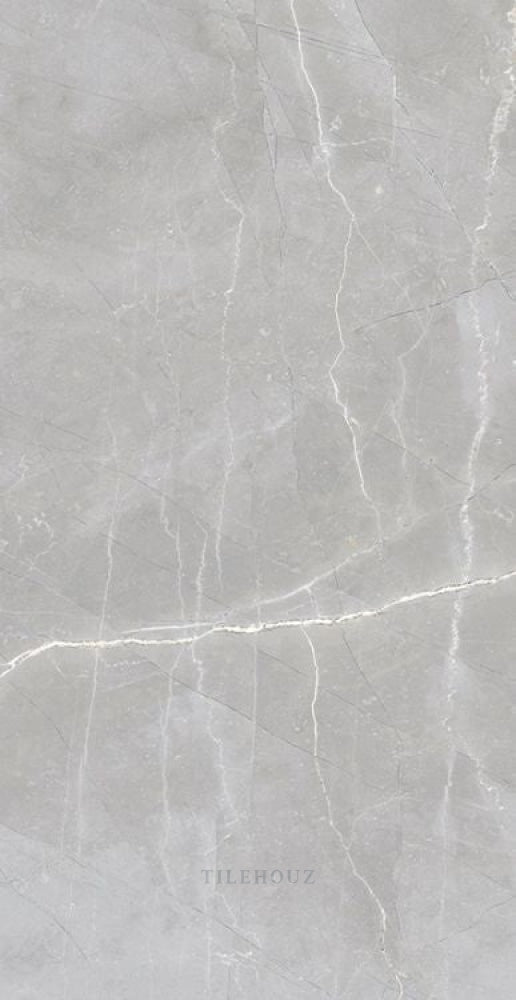 Luxury Amani Grey Polished 24 X 48 Porcelain Tiles