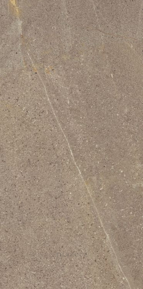 Madison Noce 12 X 24 Porcelain Tiles