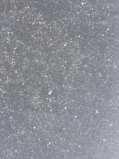 Pierre Bleu (Belgian Bluestone) 16X24 (5/8) Honed