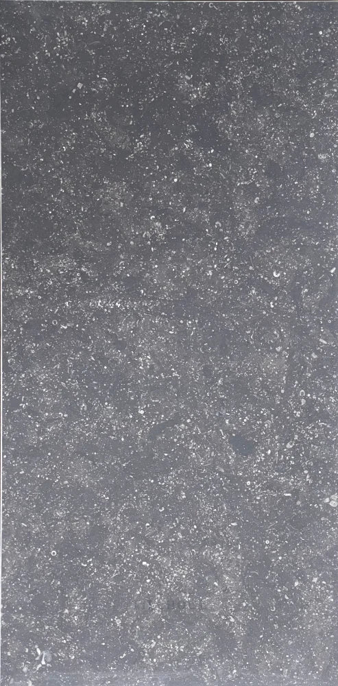 Pierre Bleu (Belgian Bluestone) Limestone 12X24 Tile Brushed