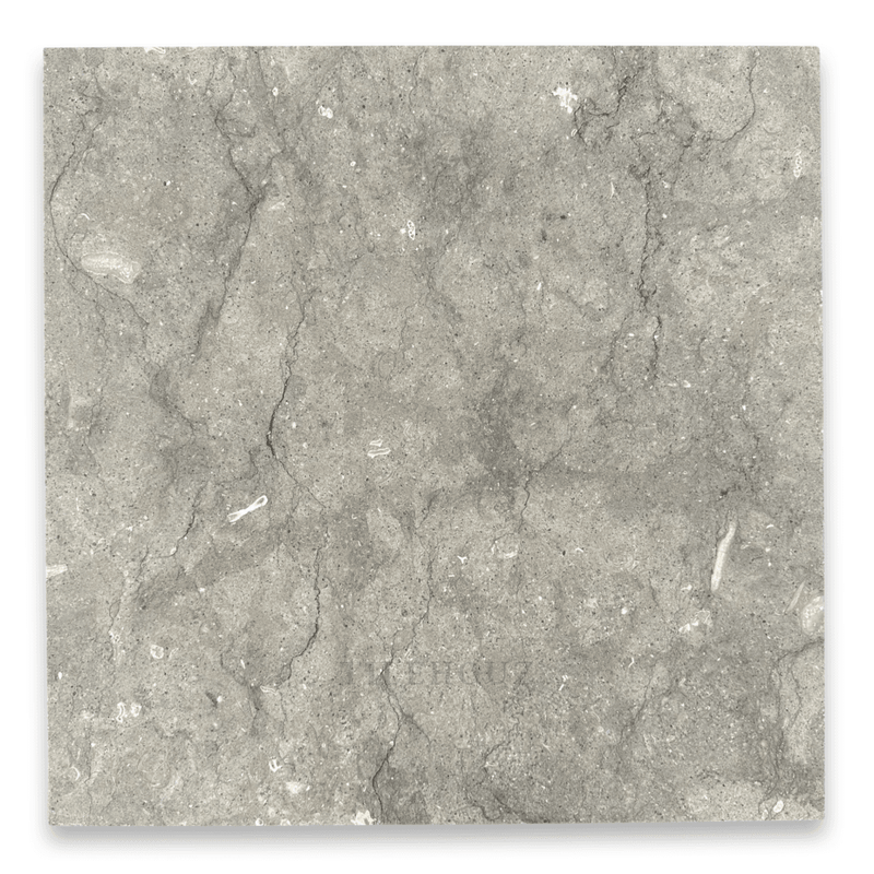 Seagrass Limestone 18X18 Tile Polished&Honed