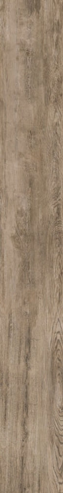 Selection Oak Amber 6 X 48 Porcelain Tiles