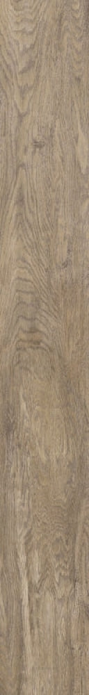 Selection Oak Amber 6 X 48 Porcelain Tiles