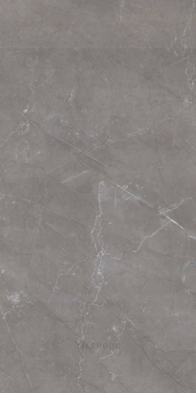 Tekali Gris Polished 24 X 48 Porcelain Tiles