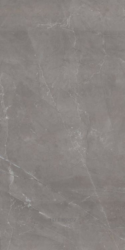 Tekali Gris Polished 24 X 48 Porcelain Tiles