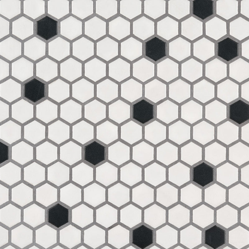 BLACK AND WHITE 1x1 HEXAGON MOSAIC TILE