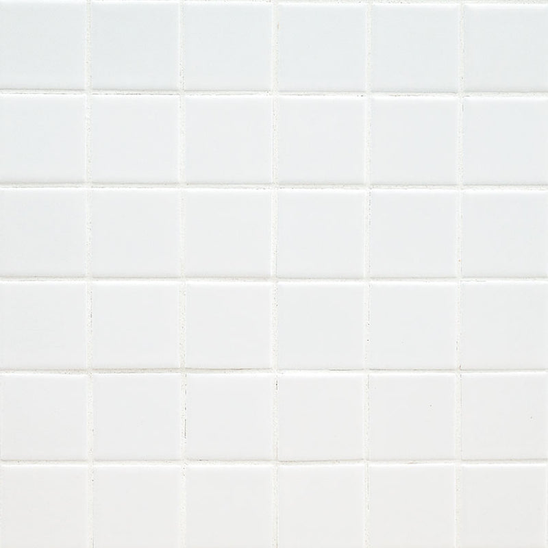 DOMINO WHITE 2X2 MATTE